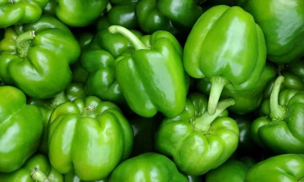 Biber (Dolma) — ürün görseli
