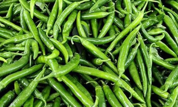 Biber (acı) — ürün görseli