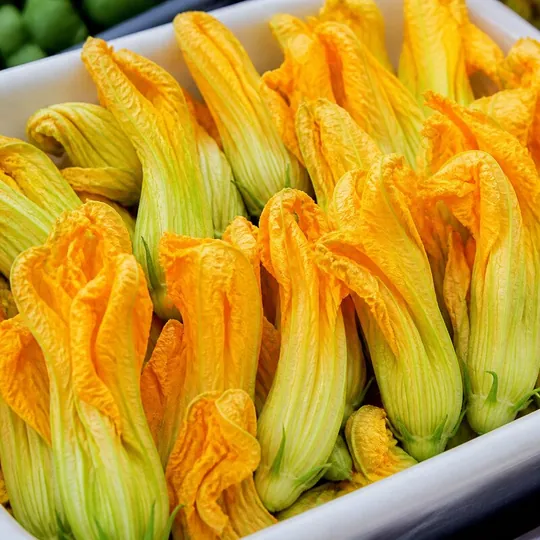 Kabak Çiçeği — ürün görseli