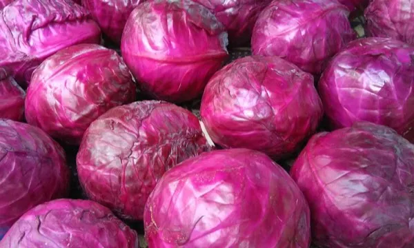 Lahana (kırmızı) (kg) — ürün görseli