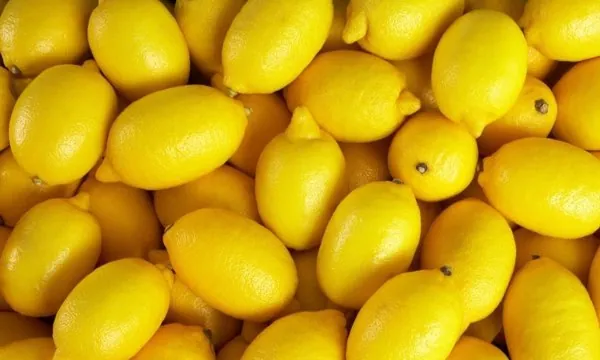 Limon (Lamas) — ürün görseli