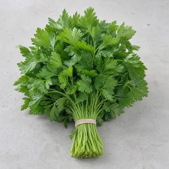 Maydanoz (70-100 gr) — ürün görseli