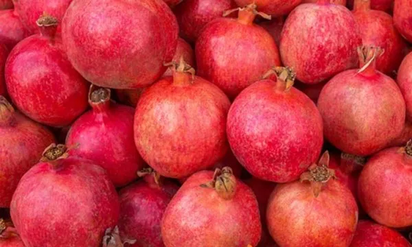 nar — ürün görseli