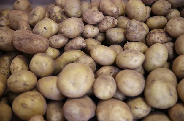 Patates (kumpir) — ürün görseli
