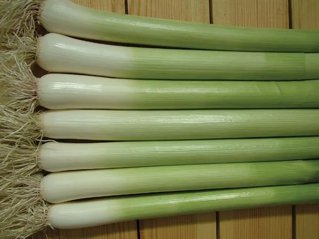 Pırasa (Normal) — ürün görseli