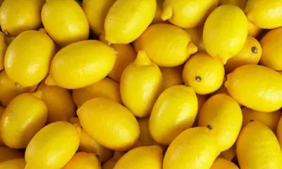 Limon (Lamas) — ürün görseli