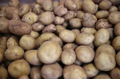Patates  calma — ürün görseli