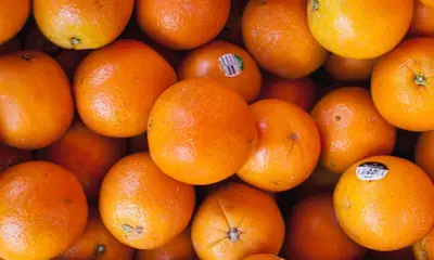 Portakal — ürün görseli
