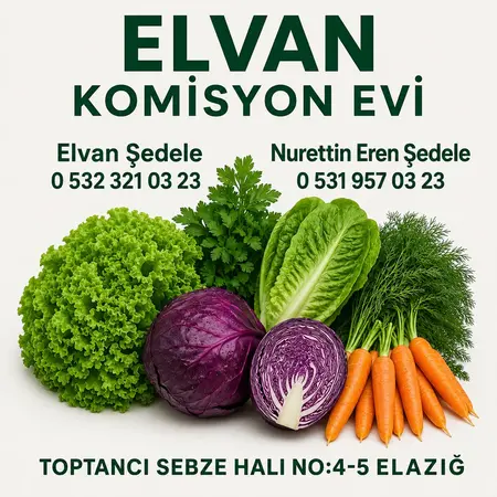 ELVAN KOMİSYON EVİ — yayımlanmış firma fotoğrafı