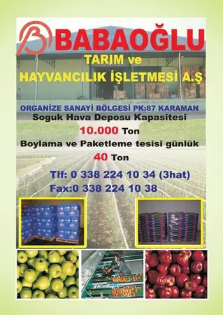Babaoğlu Soğuk HAVA — yayımlanmış firma fotoğrafı