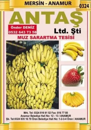 Antaş Ltd.ŞTİ — yayımlanmış firma fotoğrafı