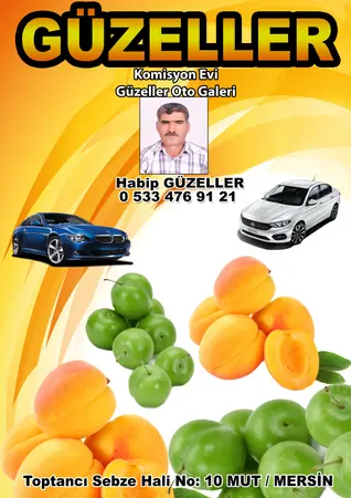 Güzeller Komisyon Evi — yayımlanmış firma fotoğrafı