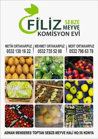 Filiz komisyon evi — yayımlanmış firma fotoğrafı
