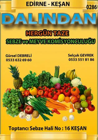 Dalından Komisyon evi — yayımlanmış firma fotoğrafı