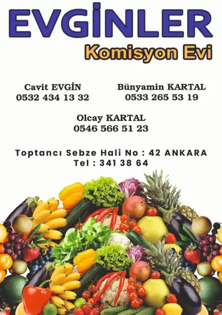 Evginler komisyon evi — yayımlanmış firma fotoğrafı