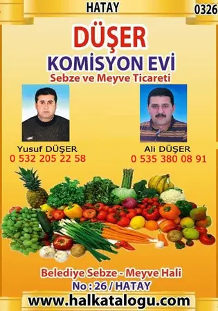 Düşer Komisyonevi — yayımlanmış firma fotoğrafı