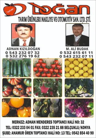 Doğan komisyon evi — yayımlanmış firma fotoğrafı