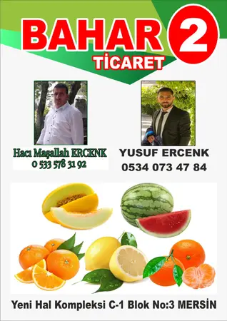 Bahar komisyon evi Bahar ticaret — yayımlanmış firma fotoğrafı