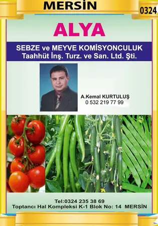 Alya Komisyon evi — yayımlanmış firma fotoğrafı