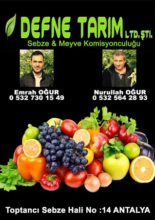 Defne Tarım ürünleri Defne Komisyon Evi — yayımlanmış firma fotoğrafı