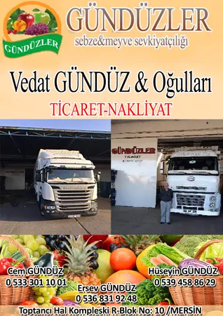 Gündüzler Ticaret- Nakliyat — yayımlanmış firma fotoğrafı