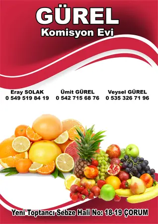 Gürel Komisyon Evi — yayımlanmış firma fotoğrafı