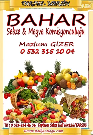 Bahar Komisyon evi — yayımlanmış firma fotoğrafı