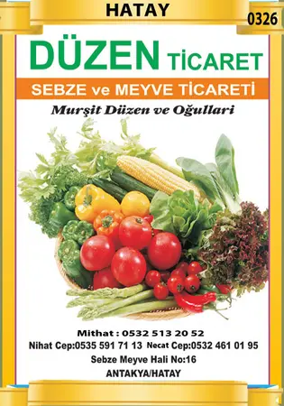 Düzen Ticaret Komisyon evi — yayımlanmış firma fotoğrafı