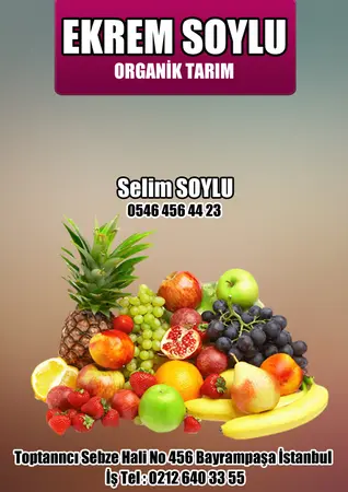 Ekrem Soylu Organik Tarım Ekrem Soylu Komisyon evi — yayımlanmış firma fotoğrafı