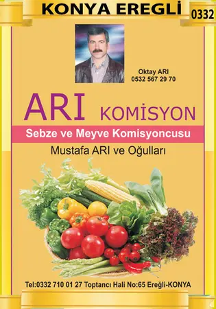 Arı Komisyon Komisyon evi — yayımlanmış firma fotoğrafı