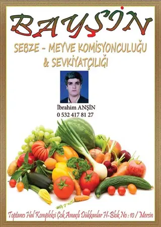 Bayşin Komisyon evi — yayımlanmış firma fotoğrafı
