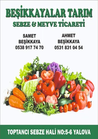 Beşikkayalar komisyon evi — yayımlanmış firma fotoğrafı