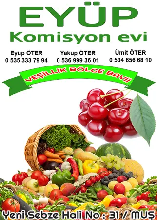 Eyüp Komisyon evi — yayımlanmış firma fotoğrafı
