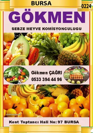 Gökmen Komisyon evi — yayımlanmış firma fotoğrafı