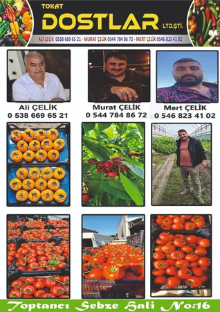 Dostlar komisyon evi — yayımlanmış firma fotoğrafı