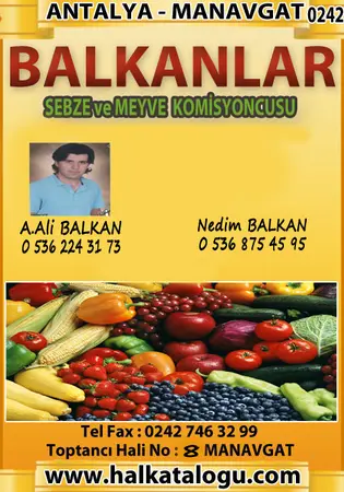 Balkanlar Komisyon evi — yayımlanmış firma fotoğrafı