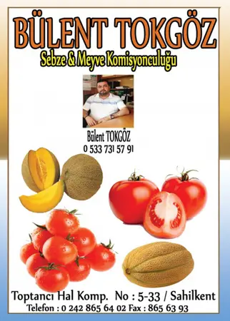 Bülent Tokgöz komisyon evi — yayımlanmış firma fotoğrafı