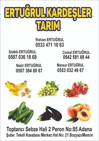 Ertuğrul kardeşler tarım ürünleri ertuğrul kardeşler komisyon evi — yayımlanmış firma fotoğrafı