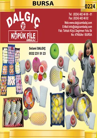 Dalgıç Köpük File Ambalaj — yayımlanmış firma fotoğrafı