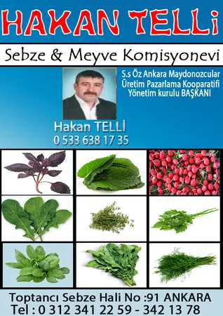 Hakan Telli Komisyon evi — yayımlanmış firma fotoğrafı