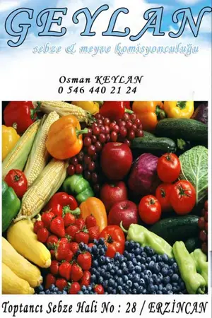 Geylan Komisyon evi — yayımlanmış firma fotoğrafı