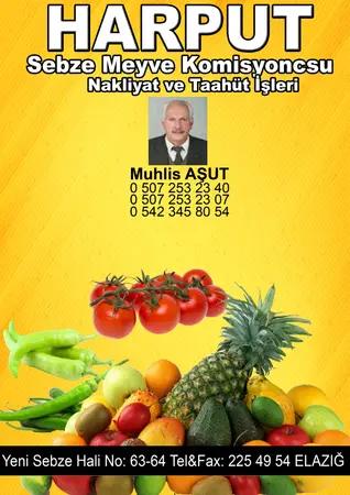 Harput Komisyon — yayımlanmış firma fotoğrafı